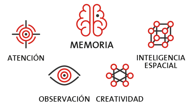 Estimula principalmente la memoria. Además, la atención, la observación y la inteligencia espacial.